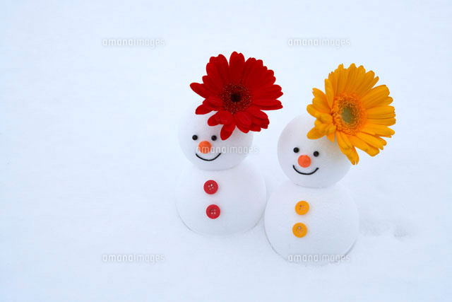 花と雪だるまのカップル
(c)Doable/a.collectionRF