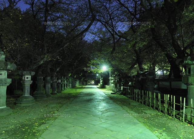 真夜中の上野東照宮の参道
(c)PHOTOLIFE/a.collectionRF