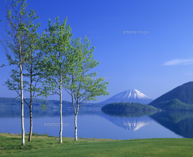 洞爺湖と羊蹄山
(c)ASO FUJITA/a.collectionRF