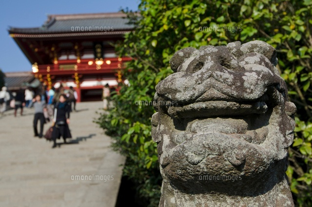 鎌倉鶴岡八幡宮の山門と狛犬
(c)JUNKO TAKAHASHI/a.collectionRF