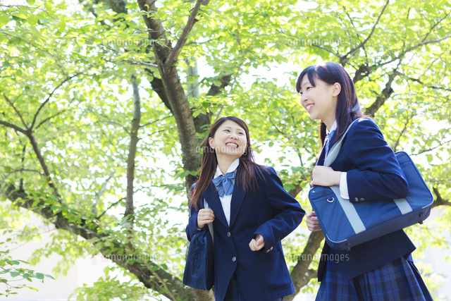 新緑と2人の女子高生
(c)Pholdar nine/a.collectionRF