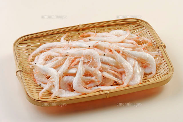 白えび
(c)TOHRU MINOWA/a.collectionRF