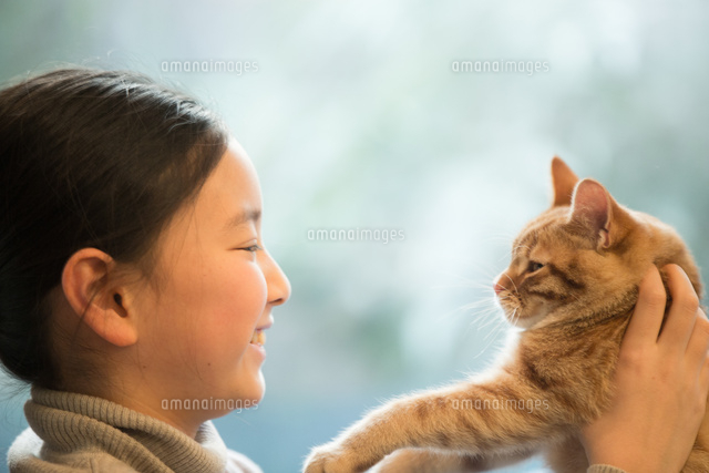猫と遊ぶ少女
(c)MANZO NIIKURA/a.collectionRF