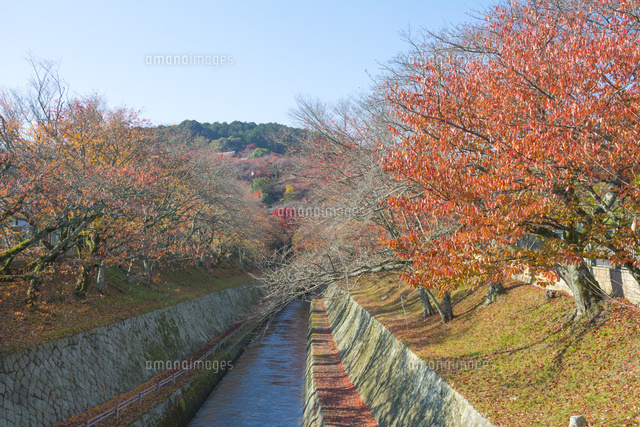 琵琶湖疏水と紅葉
(c)JUN KANEMATSU/a.collectionRF