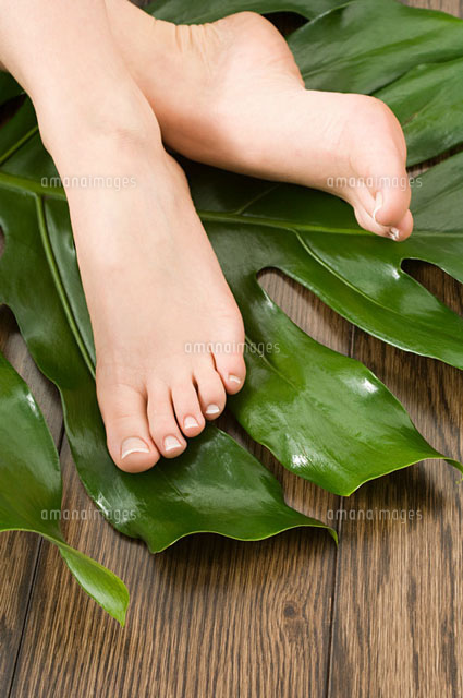Female feet on leaf
(c)Image Source