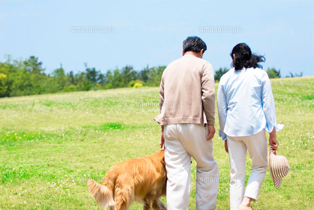草原を犬と散歩するシニア夫婦の後姿[11032001745]｜ 写真素材・ストックフォト・画像・イラスト素材｜アマナ