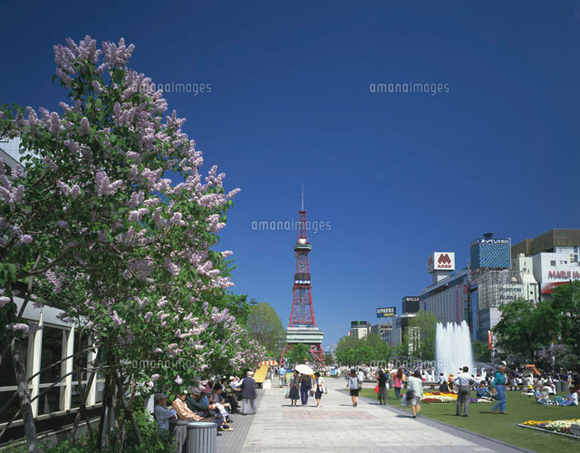 ライラックと大通公園
(c)GYRO PHOTOGRAPHY/a.collectionRF