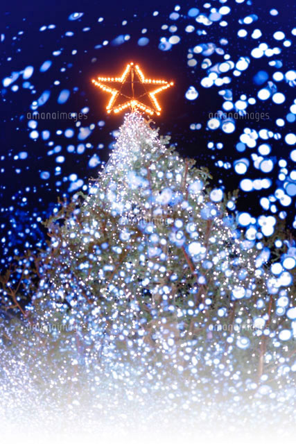 クリスマスツリー
(c)GYRO PHOTOGRAPHY/a.collectionRF