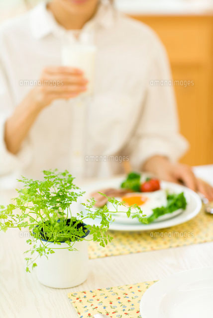 チャービルのある食卓で朝食をとる女性
(c)ELEMeNT