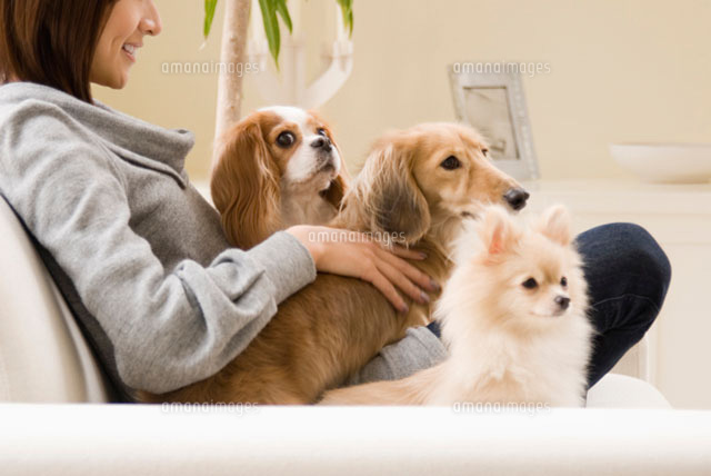 ソファでくつろぐ犬と女性
(c)DAJ