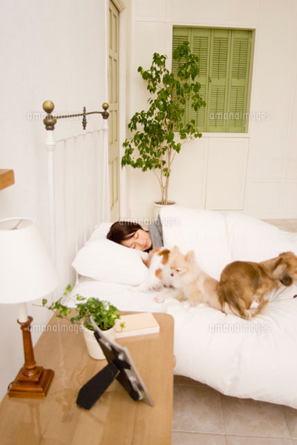 ベッドで眠る女性と犬
(c)DAJ