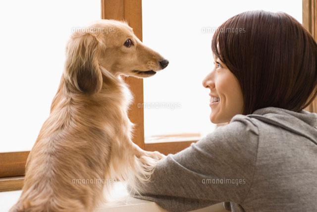見つめあう女性と犬
(c)DAJ