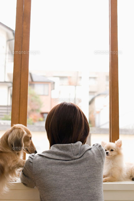 窓辺の女性と犬
(c)DAJ