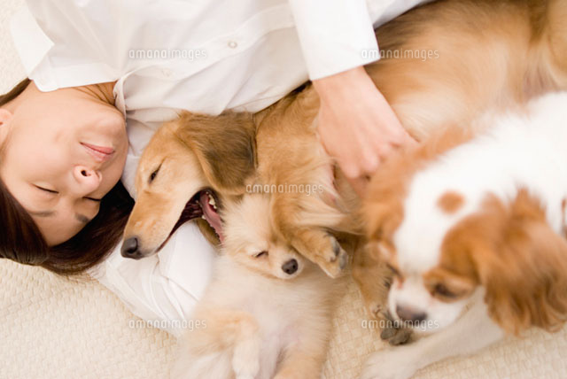 犬と女性のリラックスタイム
(c)DAJ