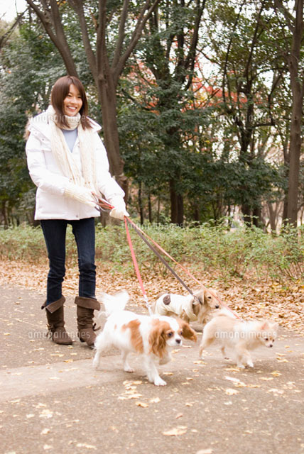 犬と散歩中の女性
(c)DAJ
