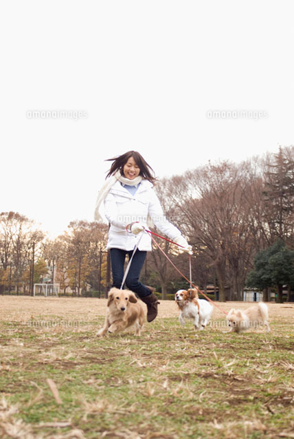 犬と散歩中の女性
(c)DAJ