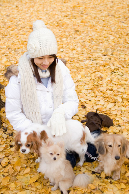 落ち葉の上に座る女性と犬
(c)DAJ