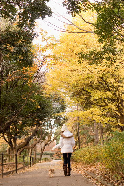 秋の公園を散歩する女性と犬
(c)DAJ