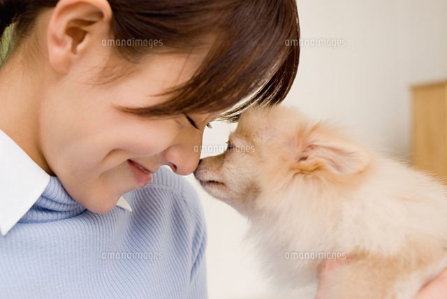 犬と触れ合う女性
(c)DAJ