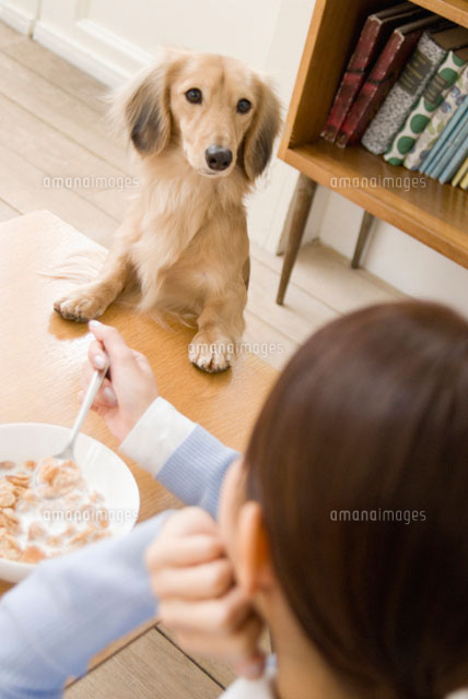 食事中の女性をのぞきこむ犬
(c)DAJ