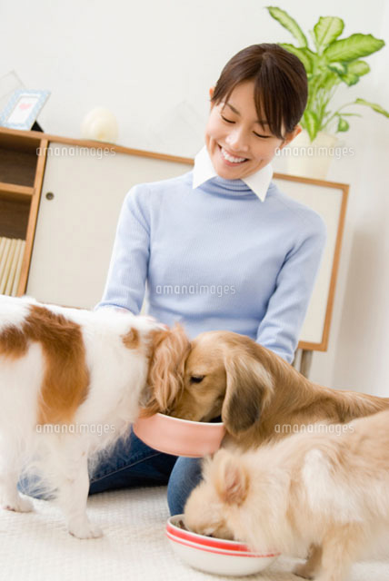 餌を食べる犬と女性
(c)DAJ