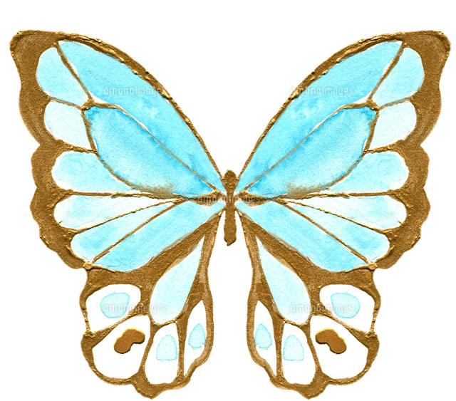 上 かっこいい 蝶々 イラスト 簡単