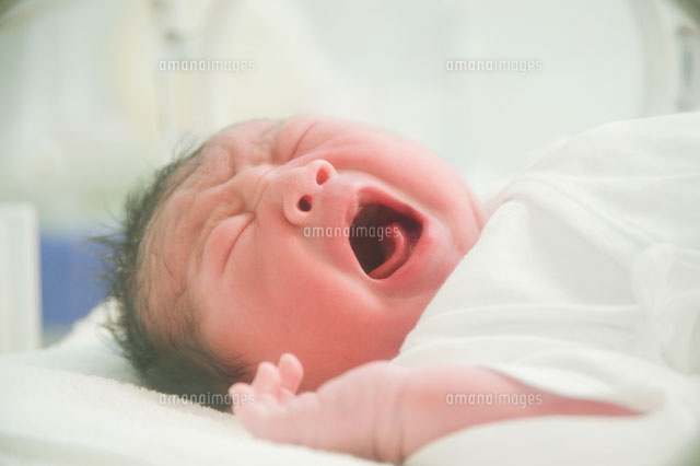 泣く新生児
(c)macomoco/a.collectionRF