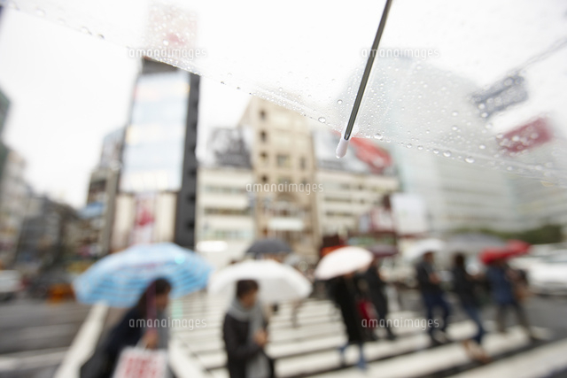 雨の日の傘ごしに見える街
(c)Doable/a.collectionRF