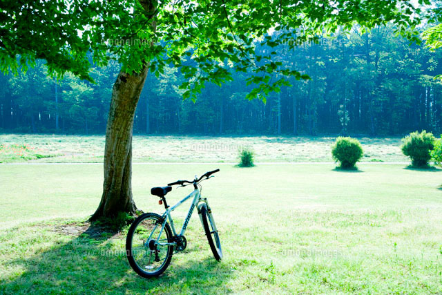 公園と自転車 フリー素材
