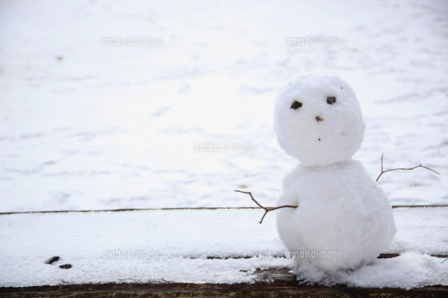 雪だるま
(c)Sachiko Kono/a.collectionRF