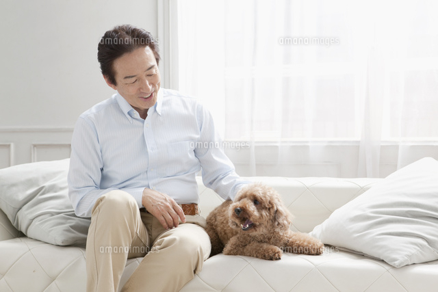 犬とじゃれ合う男性
(c)absodels RF