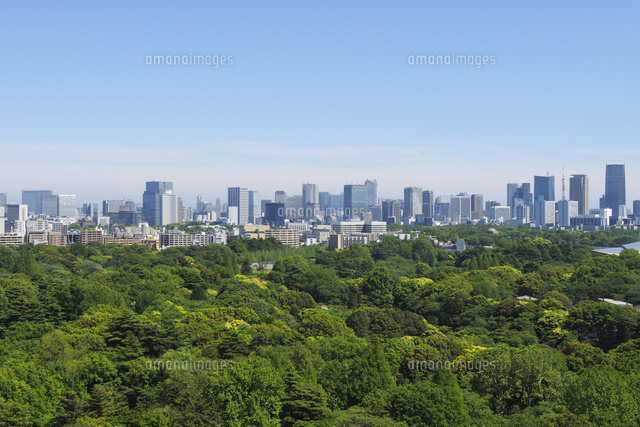 新緑の森と都心の高層ビル群
(c)PHOTOLIFE/a.collectionRF