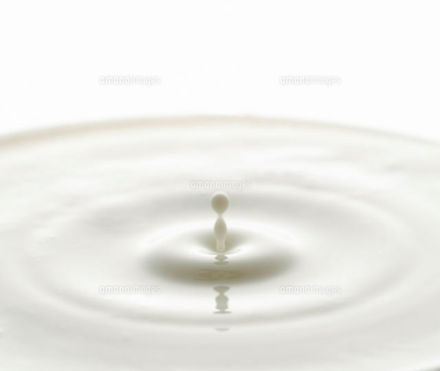 ミルクのしずく
(c)TOMOHIRO IWANAGA/a.collectionRF