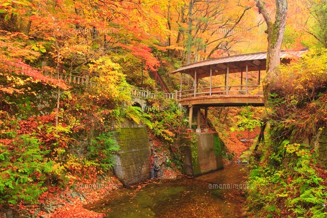 紅葉の五台橋と内村川
(c)Mitsushi Okada/a.collectionRF