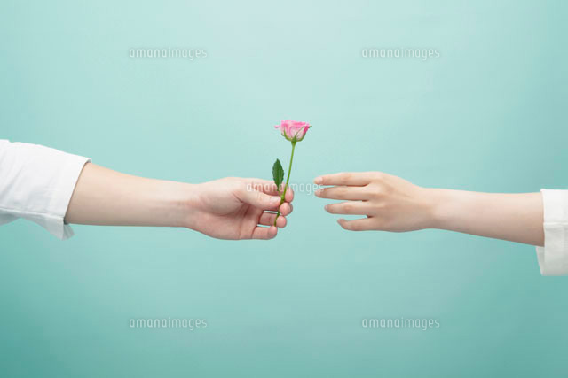 バラを差し出す手
(c)UFO RF/a.collectionRF