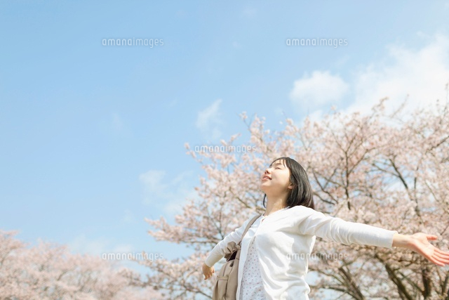 桜の木の下で両手を広げる日本人女性
(c)Pholdar nine/a.collectionRF
