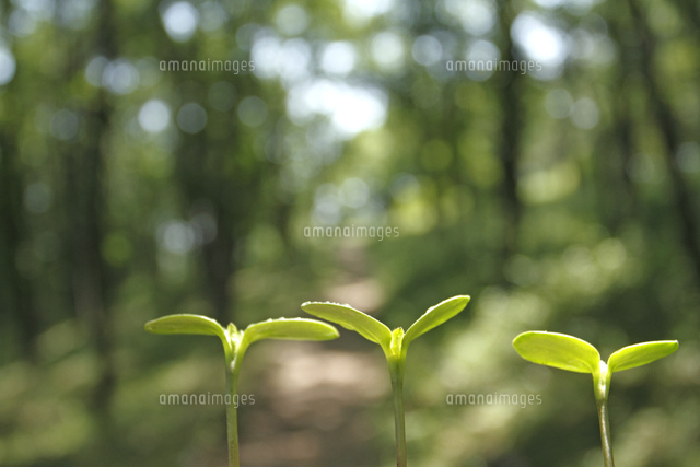 双葉
(c)Tetsuya Tanooka/a.collectionRF