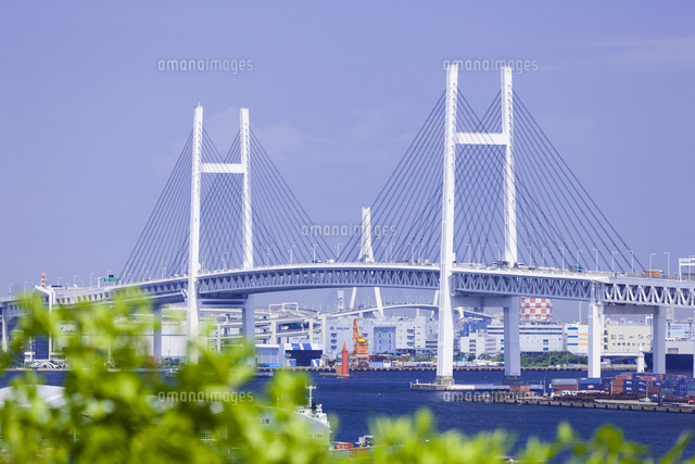 港の見える丘公園より望む横浜ベイブリッジ
(c)Cityscape/a.collectionRF