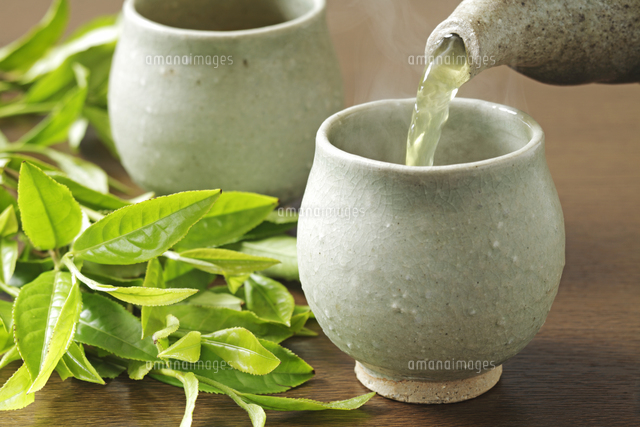 緑茶
(c)TOHRU MINOWA/a.collectionRF