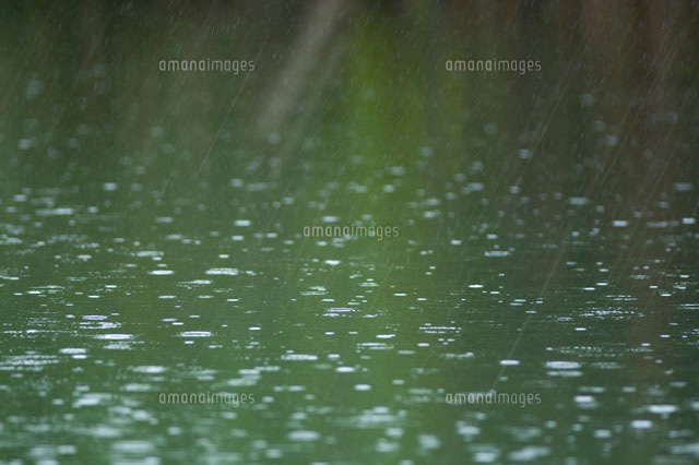 雨と波紋
(c)SHIROH KOHNO/a.collectionRF
