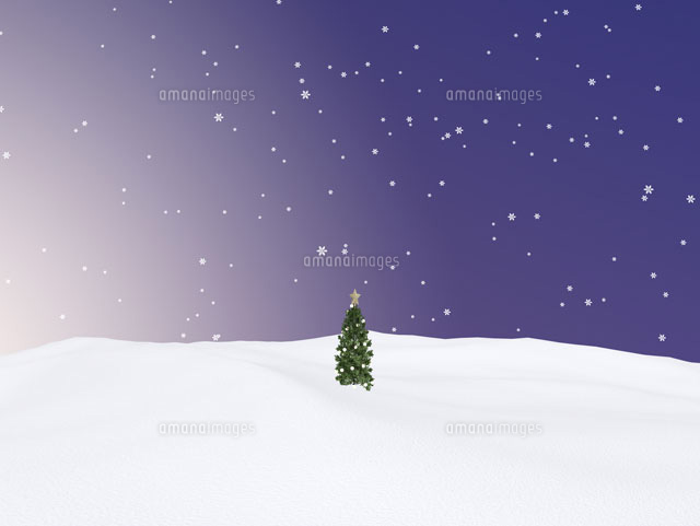 雪原のクリスマスツリー
(c)SHIROH KOHNO/a.collectionRF