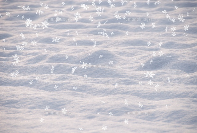雪の舞う雪面
(c)SHIROH KOHNO/a.collectionRF