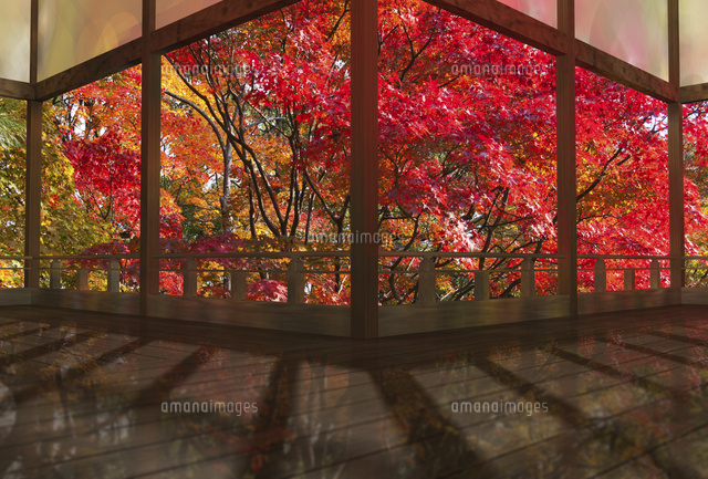 秋の和風建物の渡り廊下
(c)SHIROH KOHNO/a.collectionRF