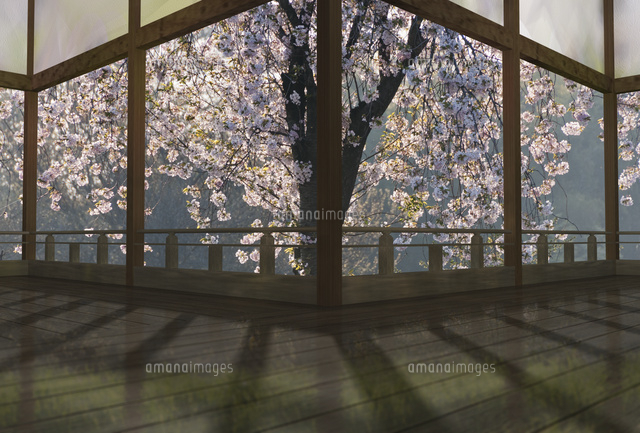 春の和風建物の渡り廊下
(c)SHIROH KOHNO/a.collectionRF