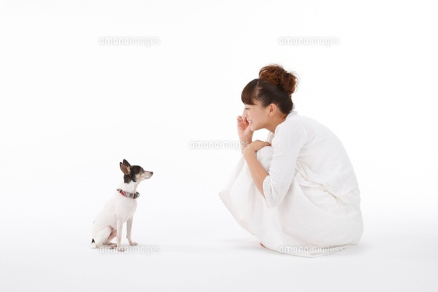 白いワンピースの女性と犬
(c)Niigata Photo Library/a.collectionRF