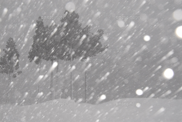 吹雪の風景
(c)Niigata Photo Library/a.collectionRF