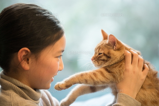 猫と遊ぶ少女
(c)MANZO NIIKURA/a.collectionRF