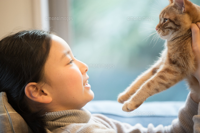 猫と遊ぶ少女
(c)MANZO NIIKURA/a.collectionRF