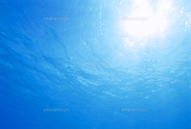 逆光の海面
(c)Rainbow/a.collectionRF
