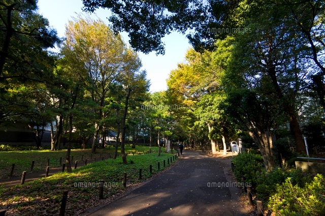 戸山公園(明治通り側)
(c)Yutaka Isayama/a.collectionRF